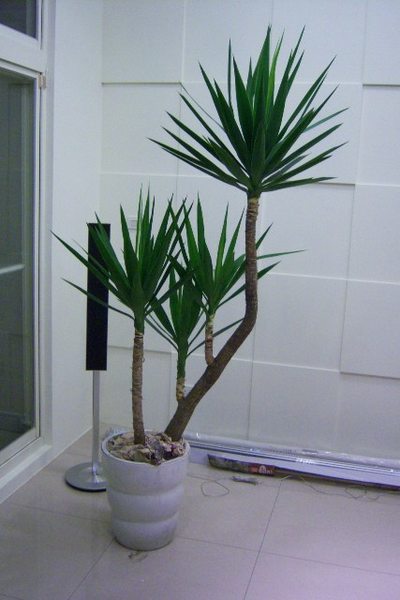 f19374205-ac-3895xf5x0400x0600-m.jpg f19374205-ac-3895xf5x0400x0600-m.jpg