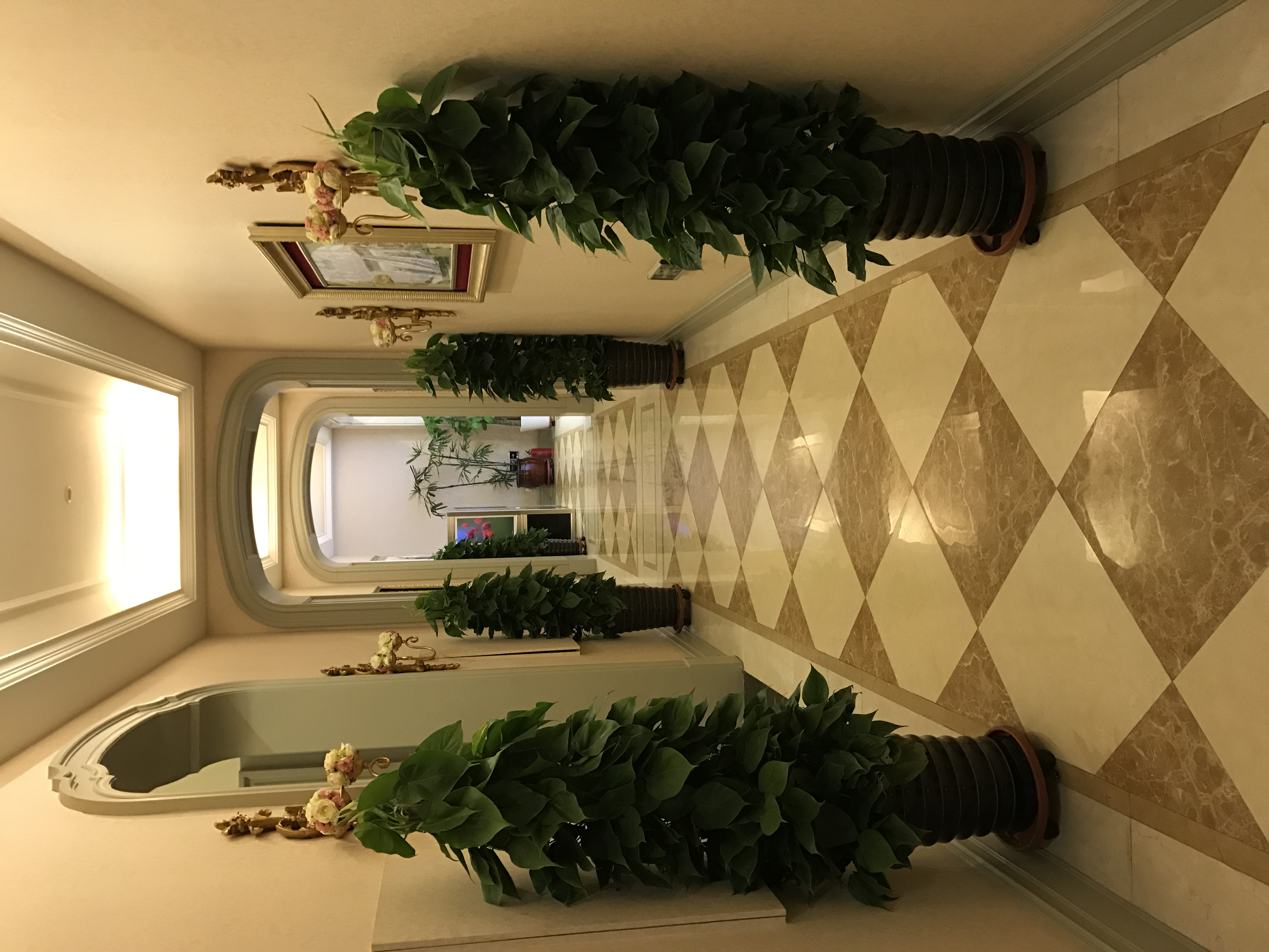 20170227_IMG_0093.JPG 20170227_IMG_0093.JPG