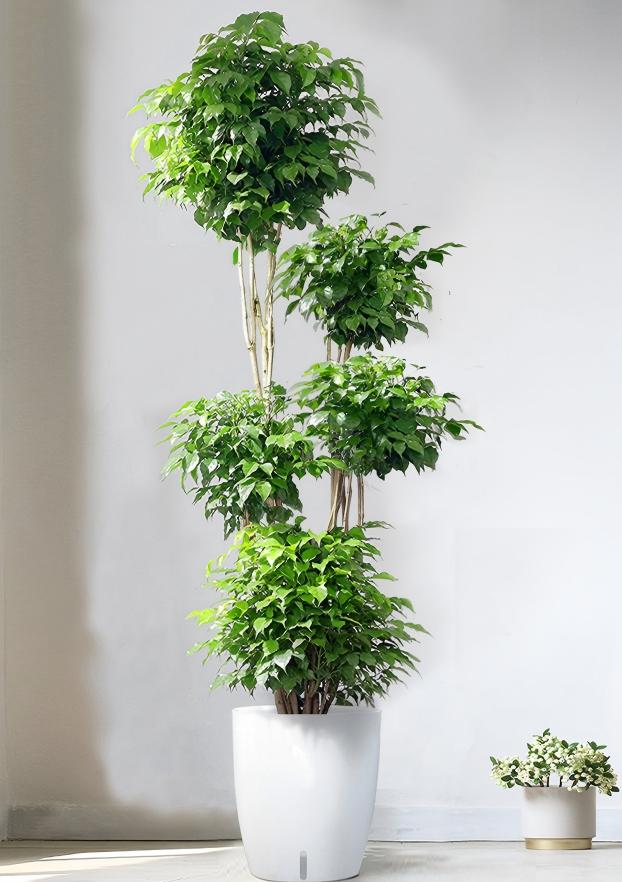 O1CN01dh19ac1s2JRDBXxYq_!!2979565708.jpg O1CN01dh19ac1s2JRDBXxYq_!!2979565708.jpg