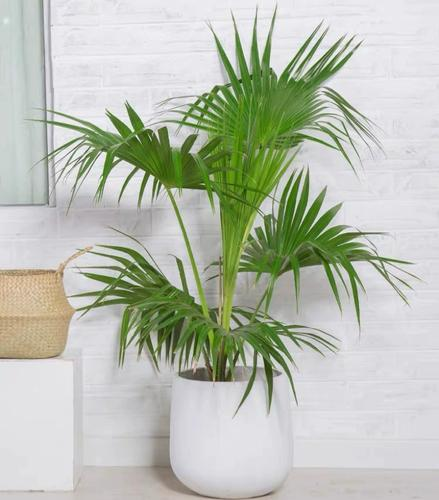 u=837249609,1680181944&fm=224&app=112&f=JPEG.png u=837249609,1680181944&fm=224&app=112&f=JPEG.png