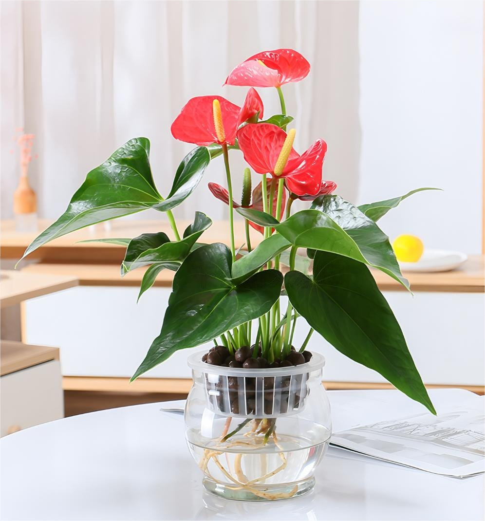 捕获3.PNG 捕获3.PNG